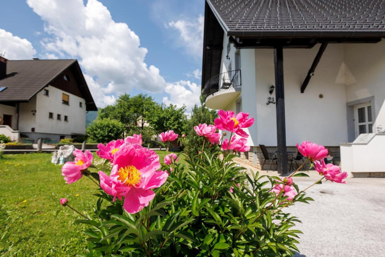 Apartment Wolf Bohinj Luaran gambar